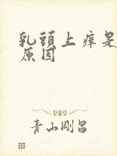 乳头上痒是什么原因