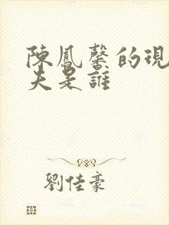 陈凤馨的现任丈夫是谁