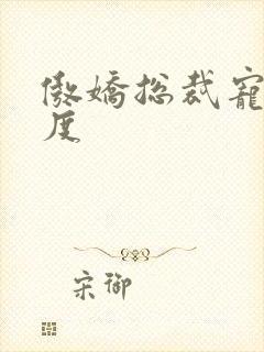 傲娇总裁宠妻无度封面