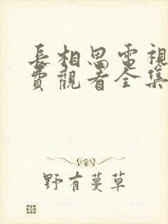 长相思电视剧免费观看全集完整版