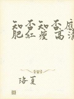 知否知否应是绿肥红瘦 高清封面