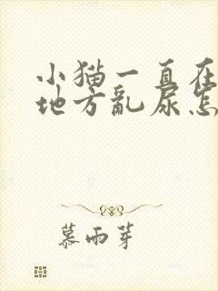 小猫一直在一个地方乱尿怎么办