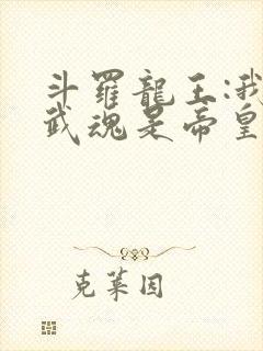 斗罗龙王:我的武魂是帝皇铠甲免费阅读封面