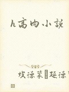 h高肉小说