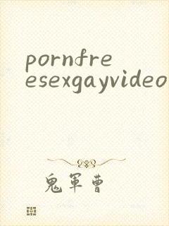 pornfreesexgayvideo