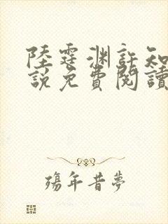 陆霆渊许知夏小说免费阅读最新章节