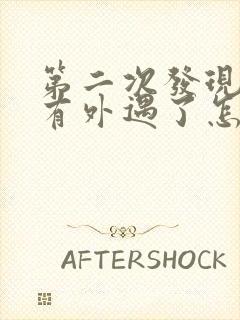 第二次发现老公有外遇了怎么办封面