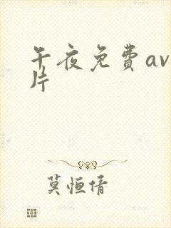 午夜免费av毛片
