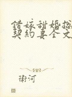 错嫁甜婚总裁的契约妻全文