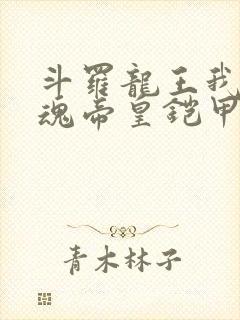 斗罗龙王我的武魂帝皇铠甲免费阅读封面