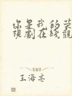 你是我的荣耀电视剧在线观看完整版免费