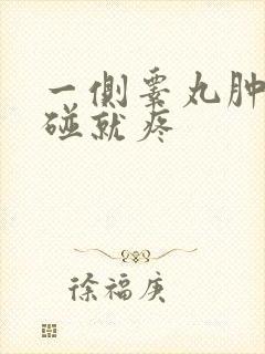 一侧睾丸肿大一碰就疼