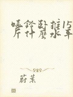 哑铃卧推15公斤什么水平