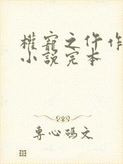 权宠之仵作医妃小说完本