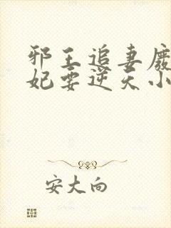 邪王追妻废材狂妃要逆天小说