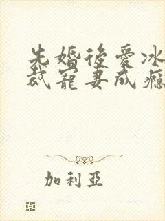 先婚后爱冰山总裁宠妻成瘾