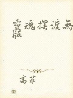 灵魂摆渡无删减版封面