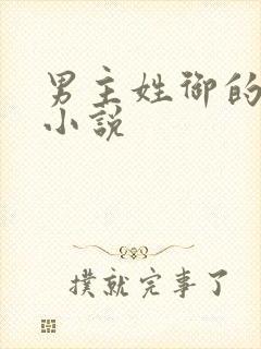 男主姓御的总裁小说
