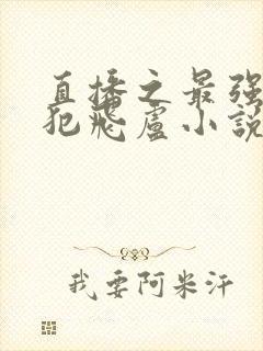 直播之最强通缉犯飞卢小说网