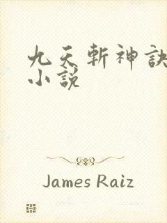 九天斩神诀纵横小说