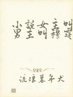 小说女主叫温言男主叫穆霆琛