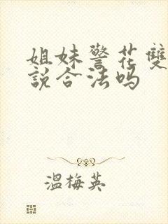 姐妹警花双飞小说合法吗