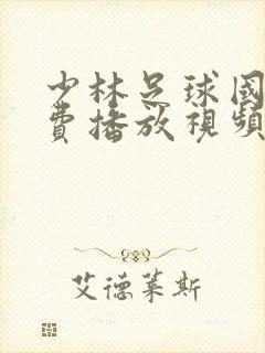 少林足球国语免费播放视频封面