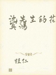 沈先生的花式调冥鸿