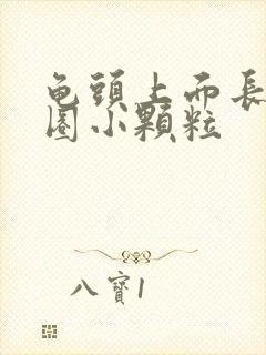 龟头上面长了一圈小颗粒