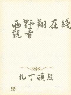 西野翔在线视频观看