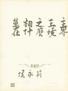 万相之王主角现在什么境界