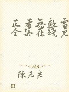 正者无敌电视剧全集在线免费观看