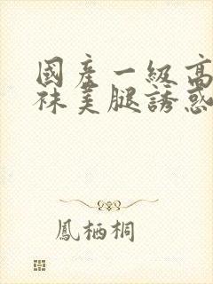 国产一级高跟丝袜美腿诱惑