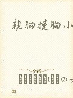 亲胸摸胸小说封面