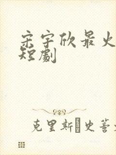 宋宇欣最火十部短剧