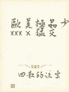 欧美极品少妇xxxxⅹ猛交