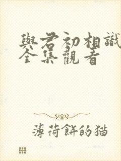 与君初相识免费全集观看