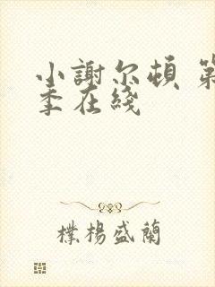 小谢尔顿 第一季在线