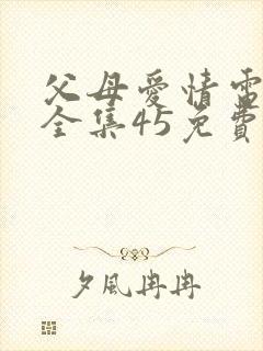 父母爱情电视剧全集45免费观看封面