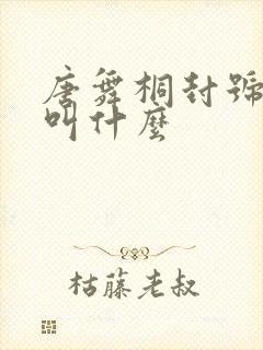 唐舞桐封号斗罗叫什么