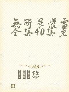 无所畏惧电视剧全集40集免费观看高清封面