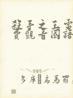 杀手之王电影免费观看国语完整版封面