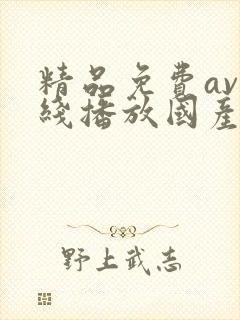 精品免费av在线播放国产