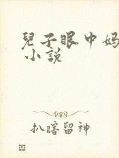 儿子眼中妈妈的 小说