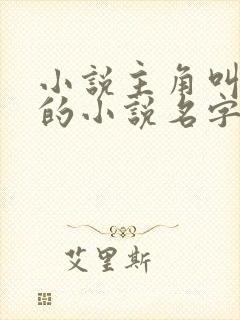 小说主角叫陈风的小说名字