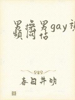 男操男gay视频网站封面