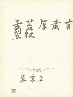 舌苔厚黄有齿痕裂纹