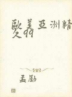 欧美亚洲精品久久99