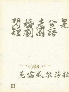 闪婚老公是豪门短剧国语封面