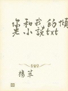 你和我的倾城时光小说txt